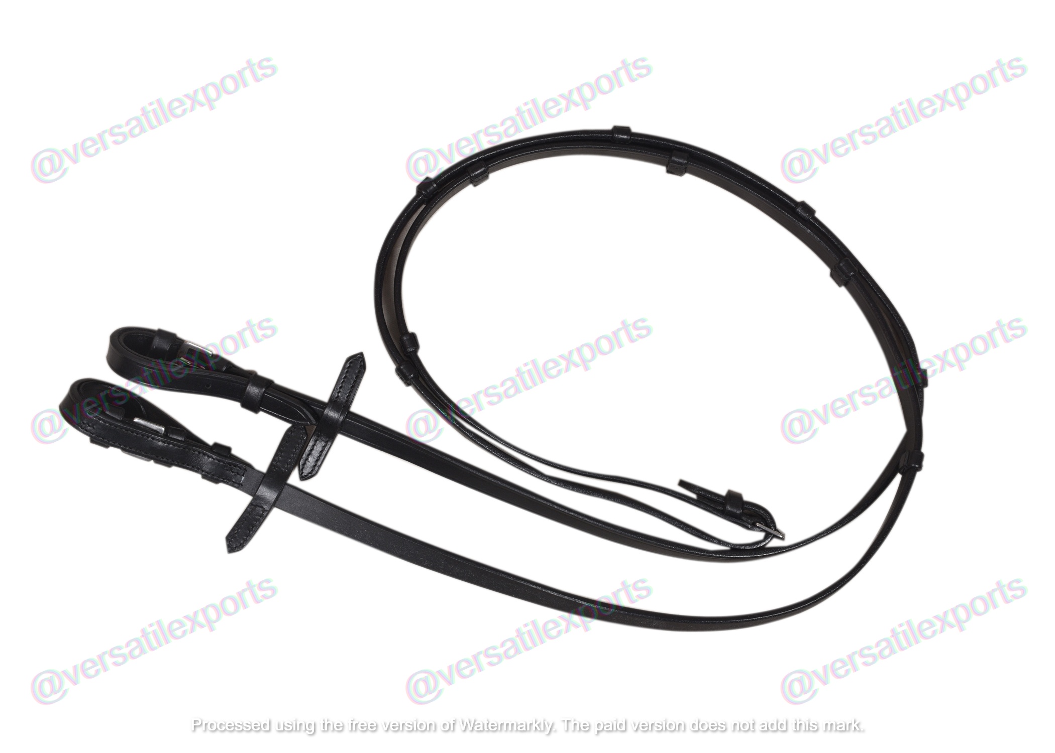 Bridle with White Padding